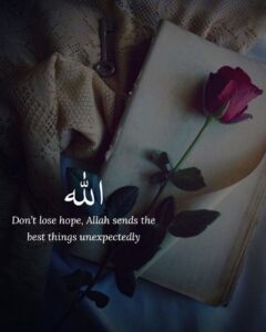 Don't lose hope Allah send the best things unexpectedly.