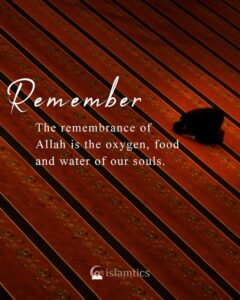 The remembrance of Allah is the oxygen, food, and water of our souls.