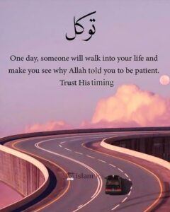 One day, someone will walk into your life and make you see why Allah said you to be patient. Trust His time