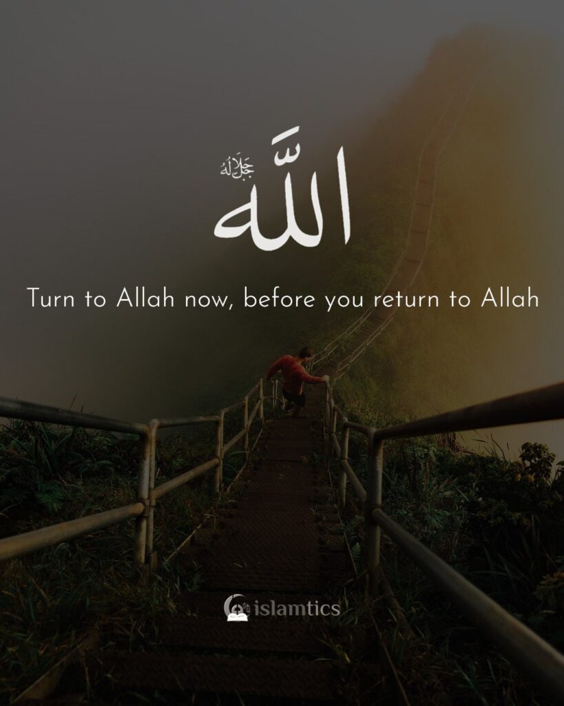 Turn to Allah now, before you return to Allah.