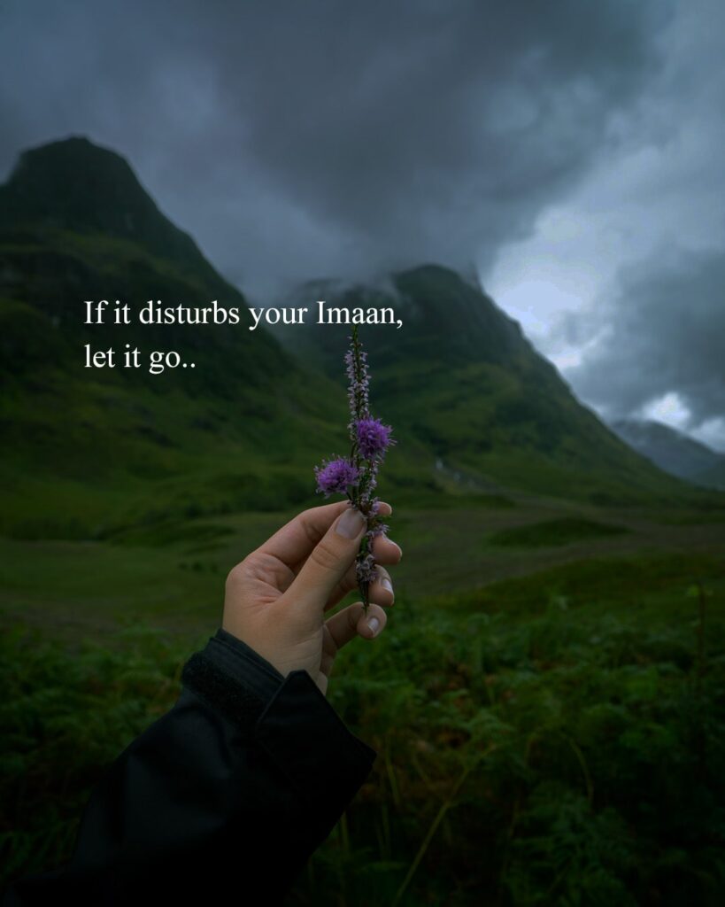 If it disturbs your Imaan, let it go.