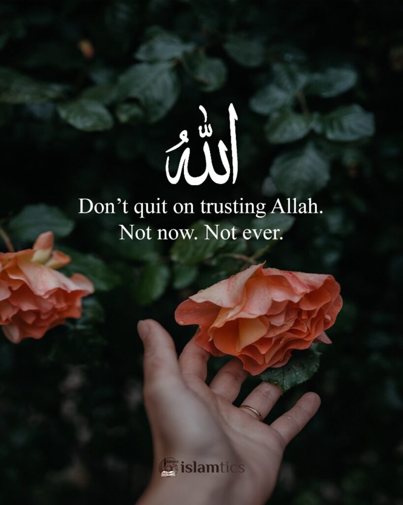 Don’t quit trusting Allah, Not now Not ever.
