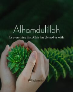 Alhamdulillah for everything that Allah has blessed us with.