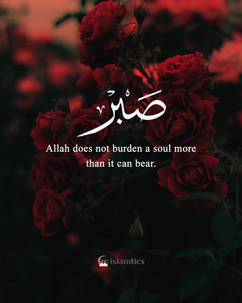 Sabr is all we need