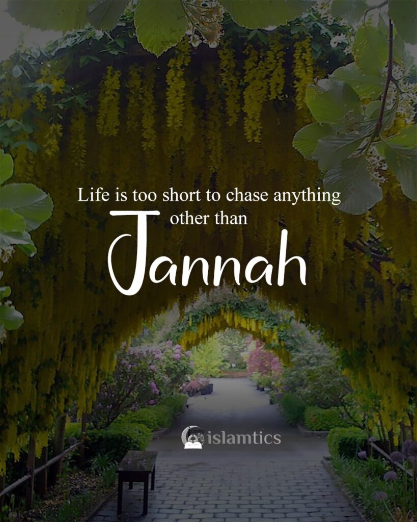 Life is too short to chase anything other than Jannah.