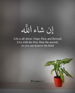 Life is all about: Hope, Pain, and Reward Live with the first. Bear the second; so you can deserve the third InShaALLAH
