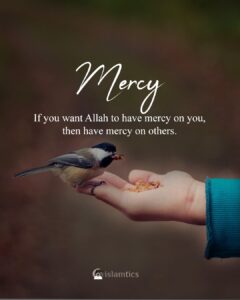 If you want Allah to have mercy on you, then have mercy on others.