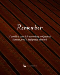 If you live your life according to Quran & Sunnah, you’ll feel peace of mind.