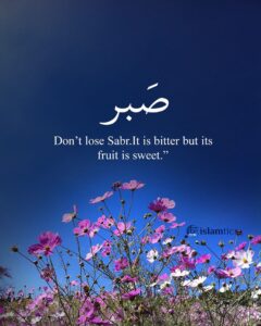 Don’t lose Sabr. It is bitter but its fruit is sweet.