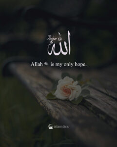 Allah ﷻ is my only hope.