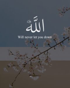 Allah will never let you down