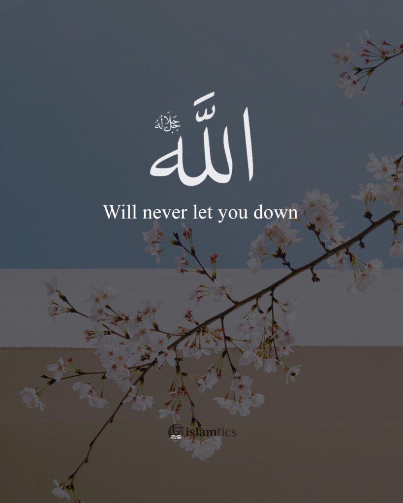 Allah will never let you down