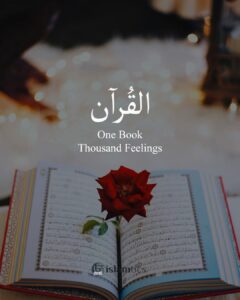 Al_Quran One Book Thousand Feelings