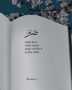 Sabr Allah Sees, Allah knows, Allah will fix it. In Sha Allah.