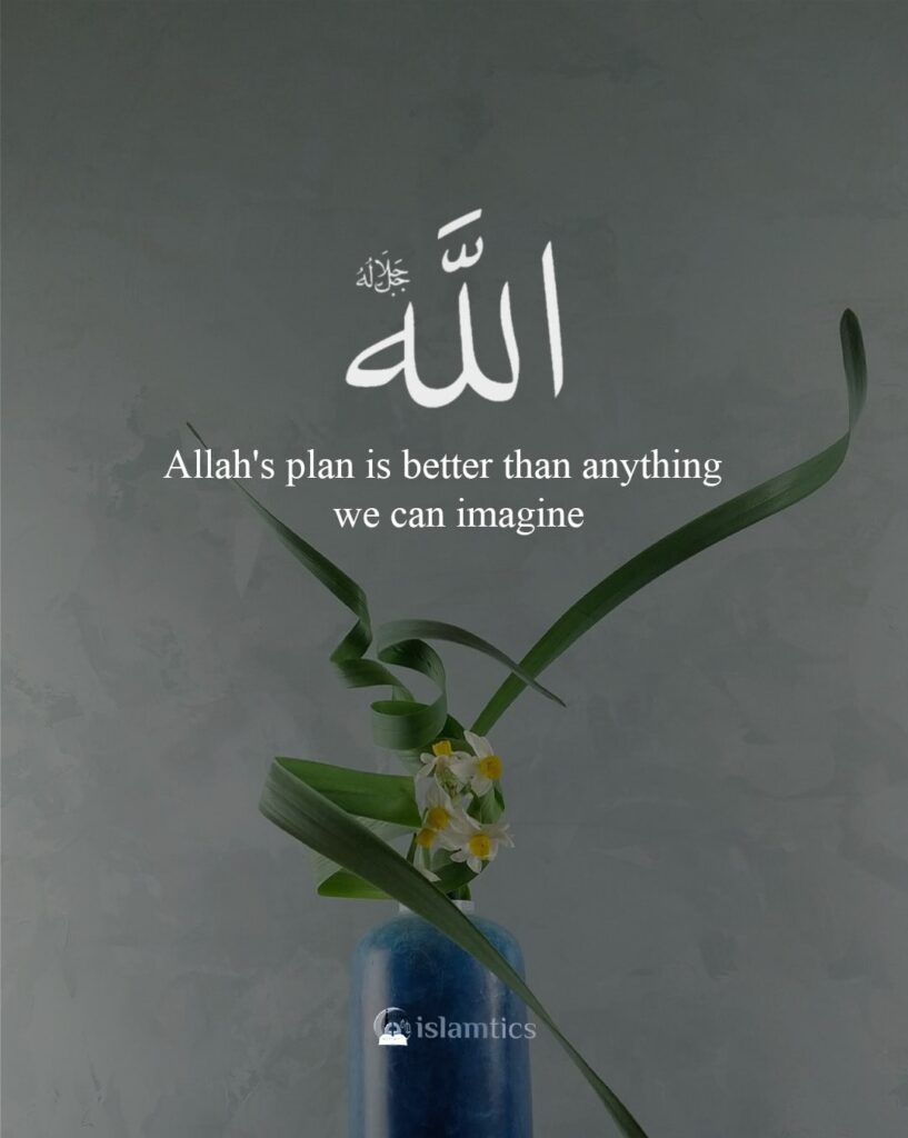 Allah's plan is better than anything we can imagine.