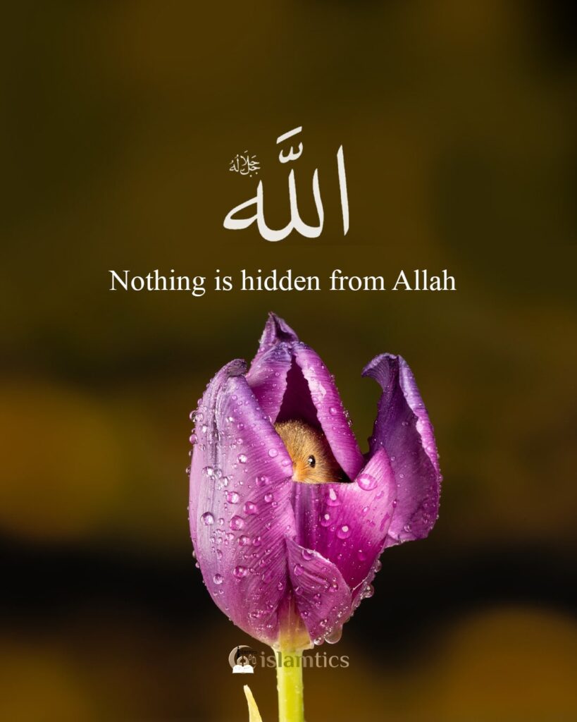 Nothing is hidden from Allah.