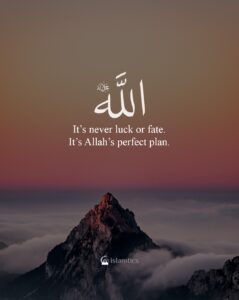 It’s never luck or fate. It’s Allah’s perfect plan!