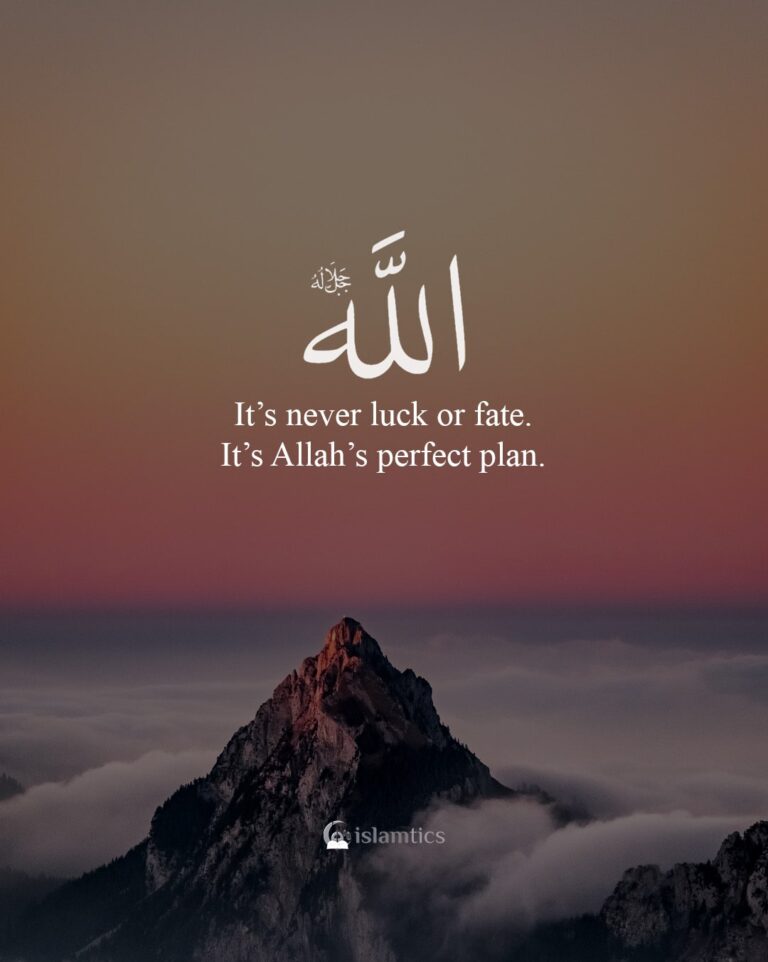 30+ Allah is The Best Planner Quotes. (with images) | islamtics