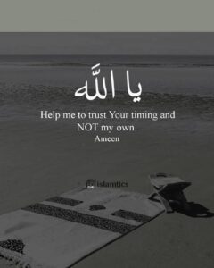 Ya Allah Help me to trust Your timing and NOT my own.