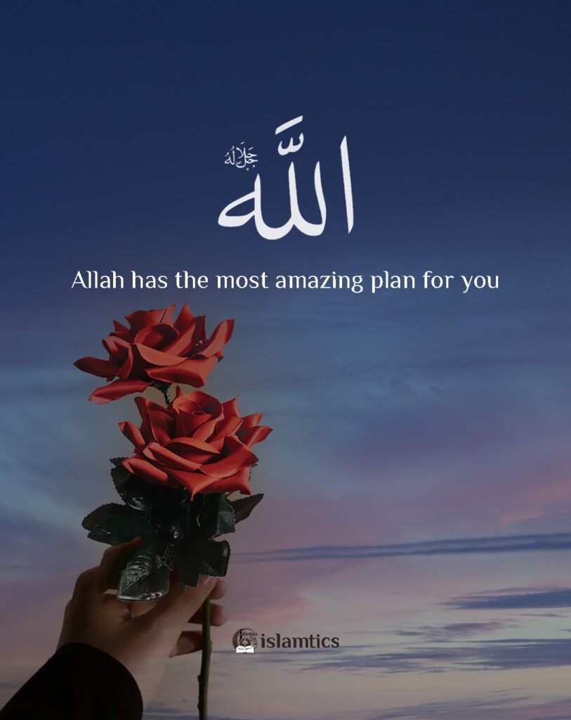 Allah has the most amazing plan for you