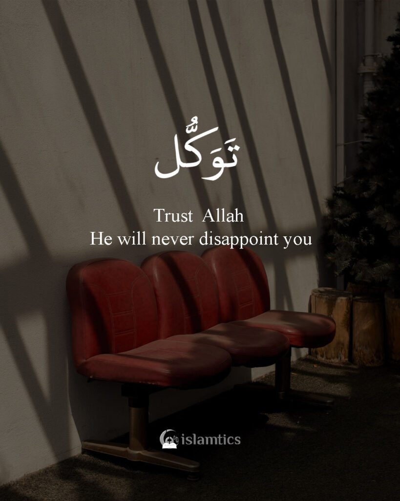 Tawakul trust on Allahﷻ. He will never disappoint you
