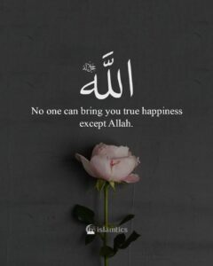 No one can bring you true happiness except Allah.