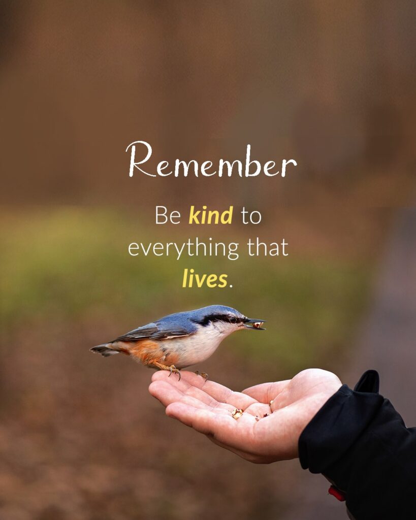 Be kind to everything that lives.