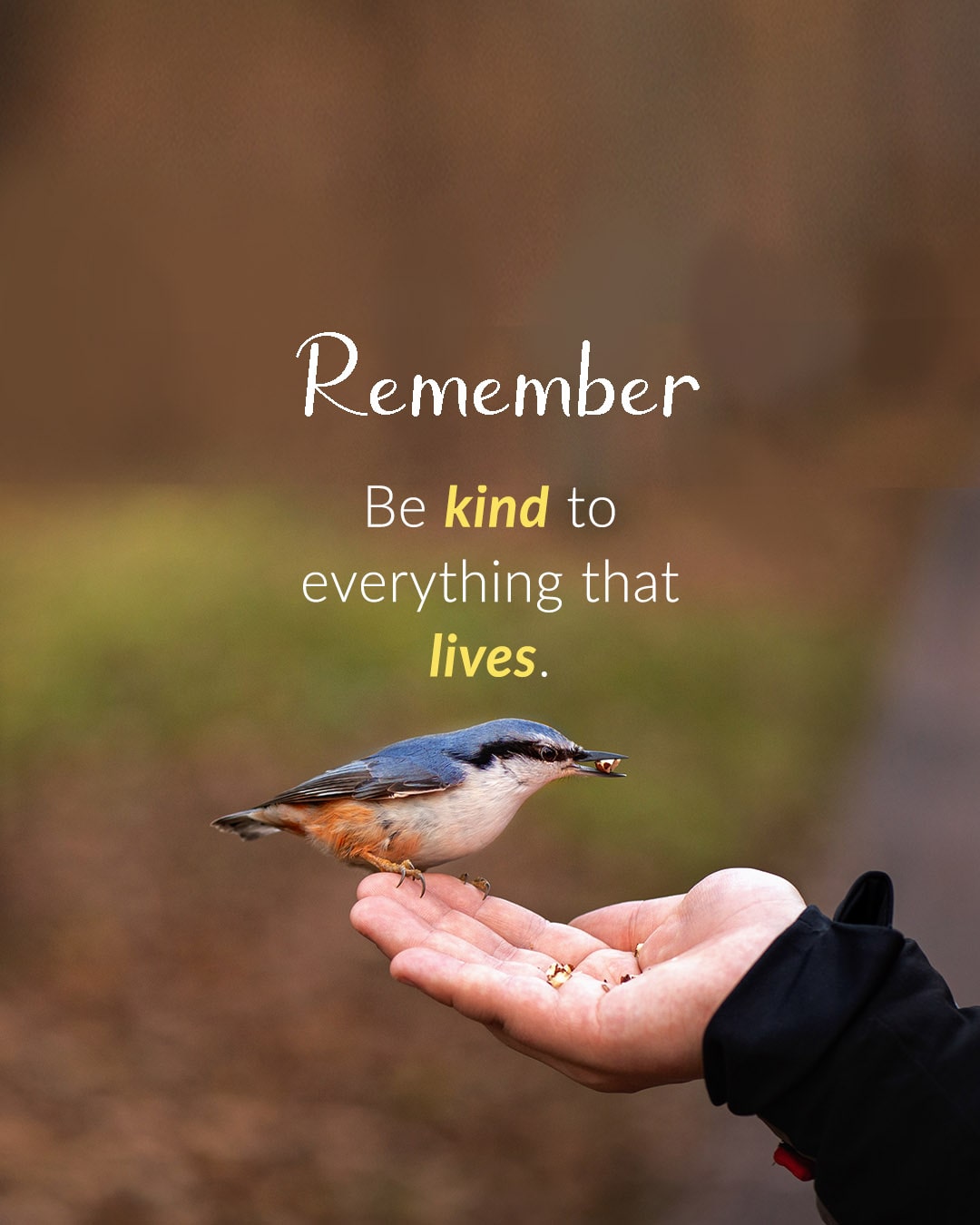 Be kind to everything that lives. | islamtics