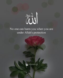 No one can harm you when you are under Allah's protection