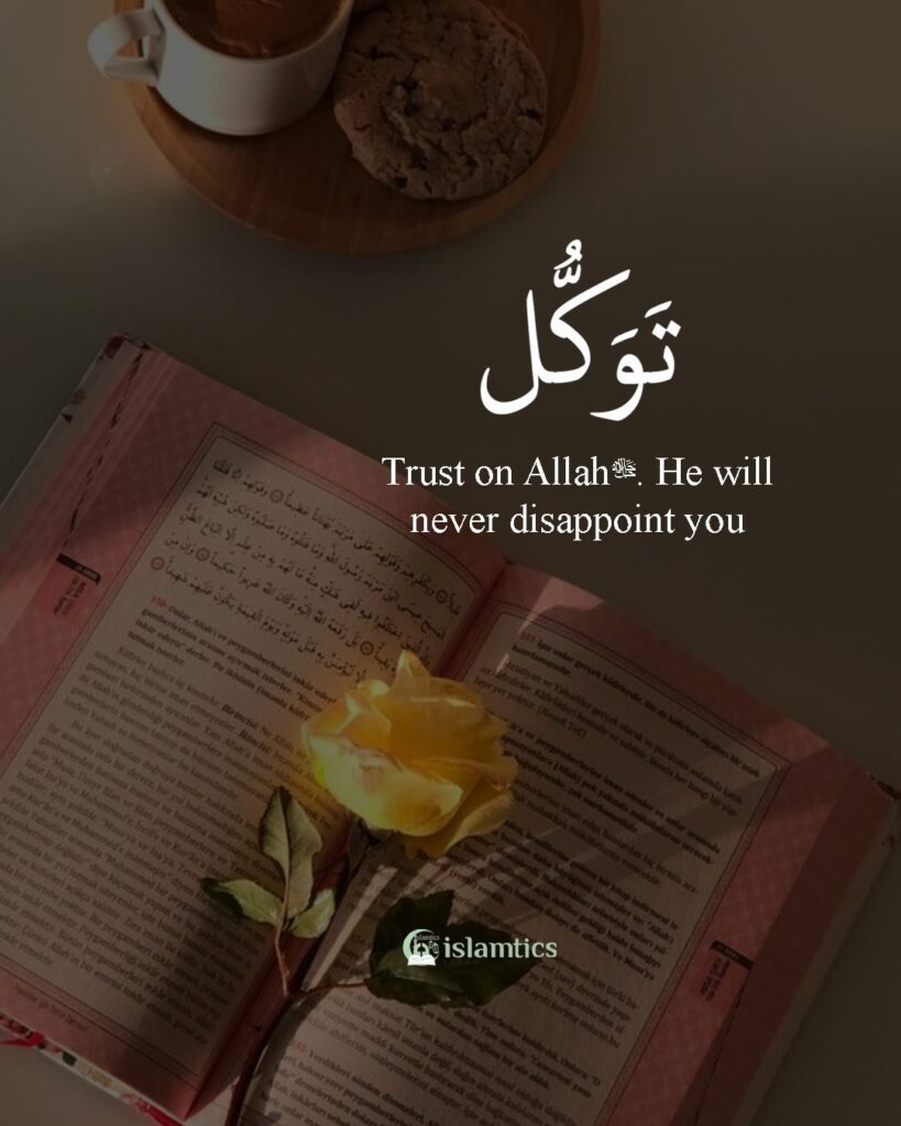 Tawakul trust on Allahﷻ. He will never disappoint you