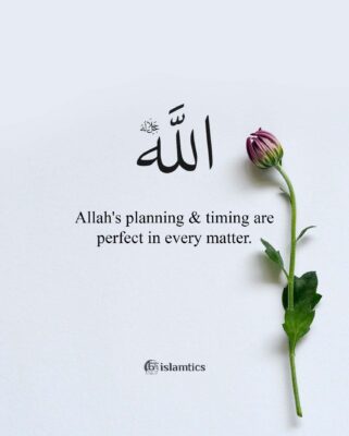 Allah's planning & timing are perfect in every matter.