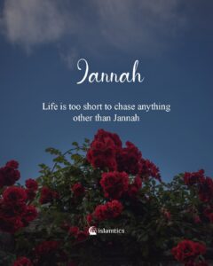 Life is too short to chase anything other than Jannah
