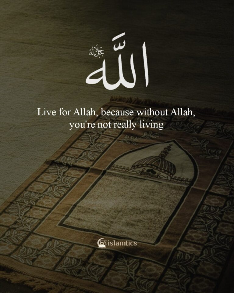 Without Allah, you're not really living | islamtics