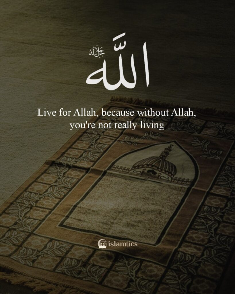 Live for Allah, because without Allah, you're not really living