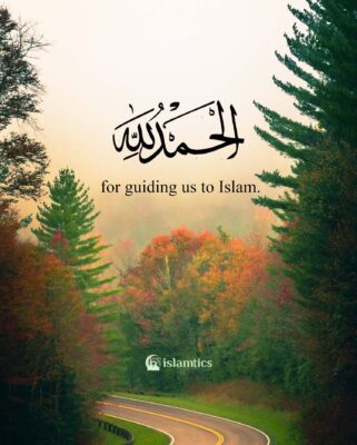 Alhamdulillah for guiding us to Islam.
