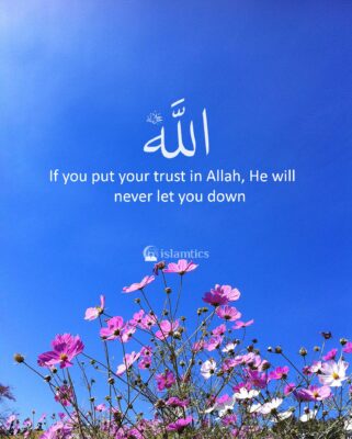 If you put your trust in Allah, He will never let you down