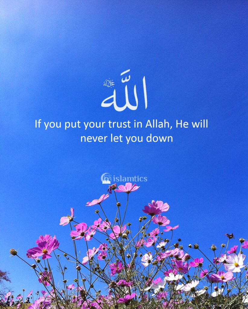 If you put your trust in Allah, He will never let you down