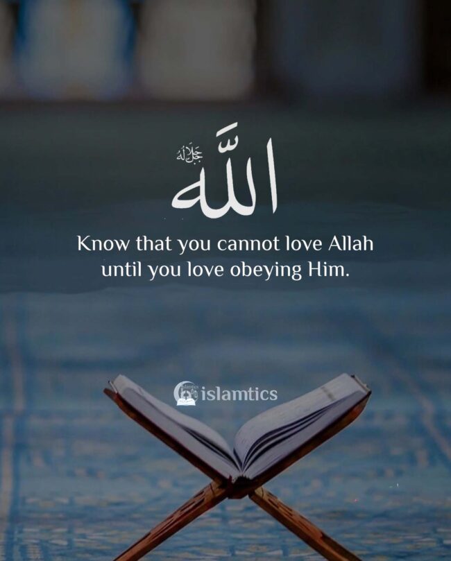 Know that you cannot love Allah until you love obeying Him. | islamtics