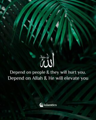 Depend on people & they will hurt you.Depend on Allah & He will elevate you