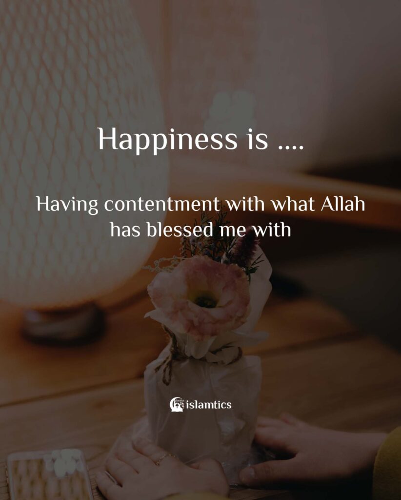 Happiness is Having contentment with what Allah has blessed me with