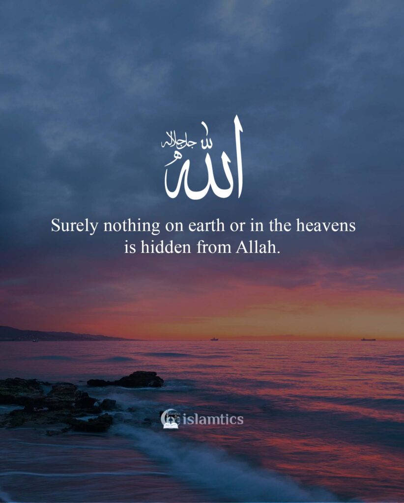 Surely nothing on earth or in the heavens is hidden from Allah.