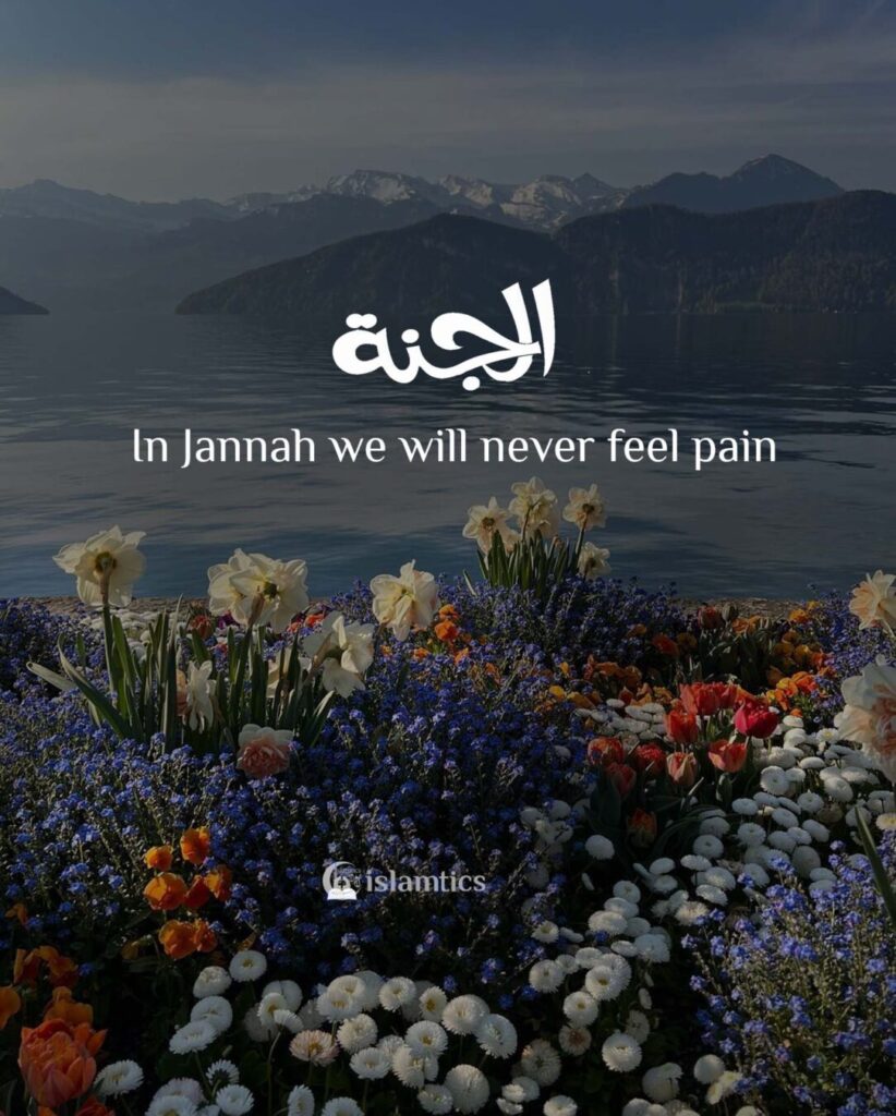 In Jannah we will never feel pain
