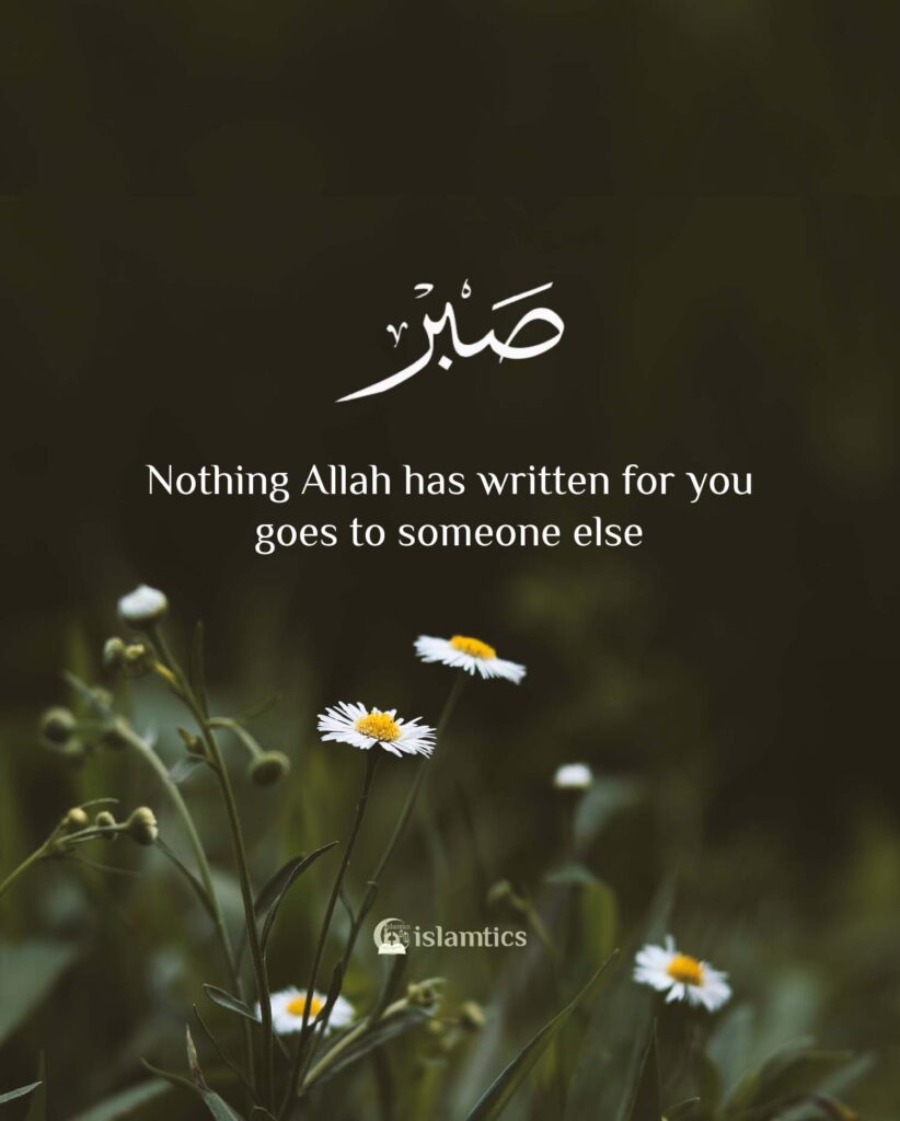 Nothing Allah has written for you goes to someone else.