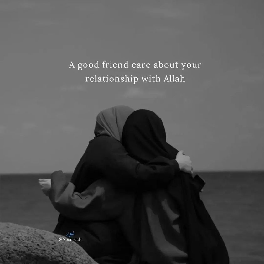 25+ Inspiring Islamic Friendship Quotes (Images) | islamtics