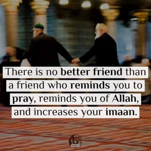 25+ Inspiring Islamic Friendship Quotes (Images) islamtics