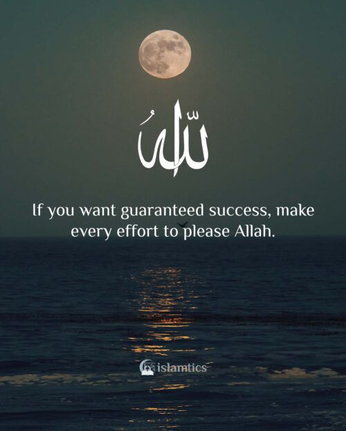 If you want guaranteed success, make every effort to please Allah ...