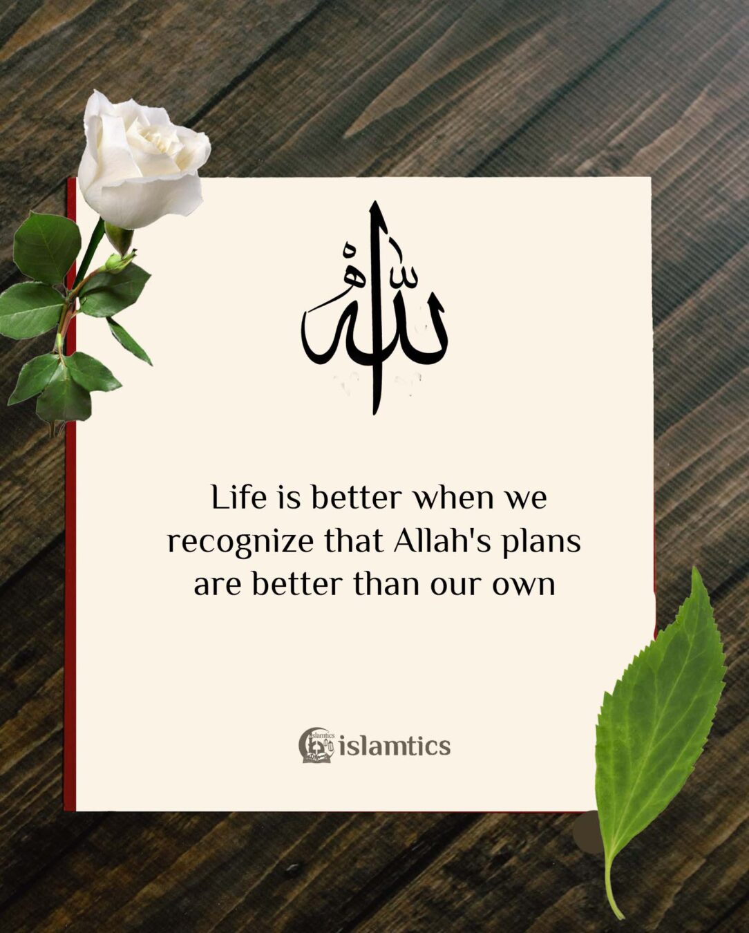 Life is better when we recognize that Allah's plans are better than our ...