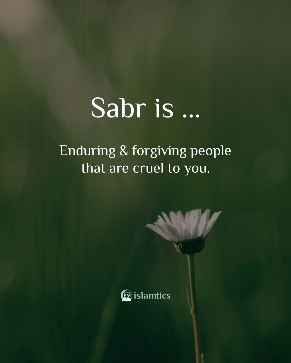 75+ Beautiful Sabr Quotes (with Images) | islamtics