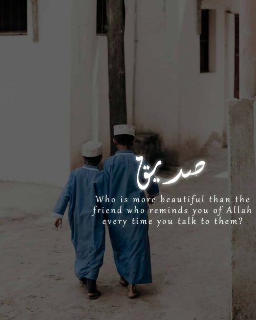 25+ Inspiring Islamic Friendship Quotes (Images) islamtics