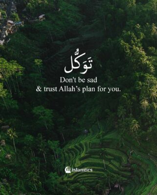 Don't be sad & trust Allah's plan for you